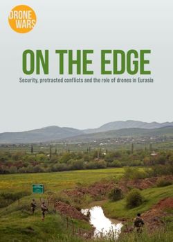 On the Edge Security, protracted conflicts and the role of drones in Eurasia