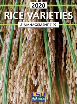 RICE VARIETIES 2020 & MANAGEMENT TIPS - LSU AGCENTER