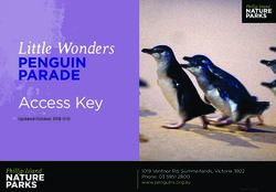 Access Key 1019 Ventnor Rd, Summerlands, Victoria 3922 Phone: 03 5951 2800 www.penguins.org.au - Access Ability Australia