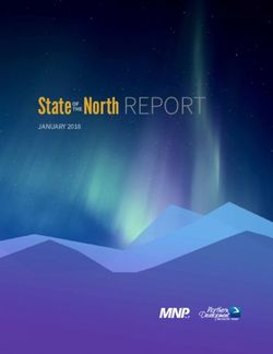 REPORT State North REPORT - Northern Development Initiative Trust