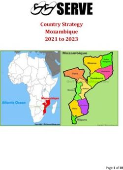 Country Strategy Mozambique 2021 to 2023 - Page 1 of 18 - SERVE