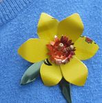 3,000 Daffodils Daffodil Day your way - Don't sit still, create a daffodil! - COTA Tasmania