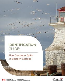 IDENTIFICATION GUIDE: Five Common Gulls of Eastern Canada - Canada.ca