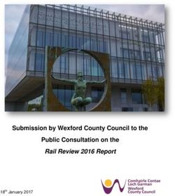Submission by Wexford County Council to the Public Consultation on the - Rail Review 2016 Report