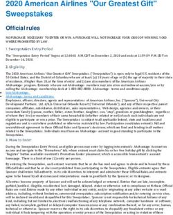 2020 American Airlines "Our Greatest Gift" Sweepstakes