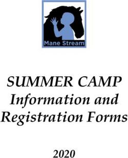 SUMMER CAMP Information and Registration Forms 2020 - Mane ...