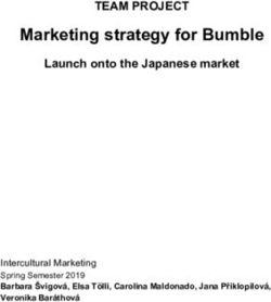 Marketing strategy for Bumble - TEAM PROJECT Launch onto the Japanese market - Intercultural Marketing