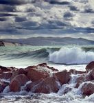 WORKING GROUP ON RECREATIONAL FISHERIES SURVEYS - ICES