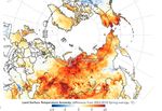 Massive Forest Fires and Mitigating Stratigies in New Arena: A Case Study - IJERT
