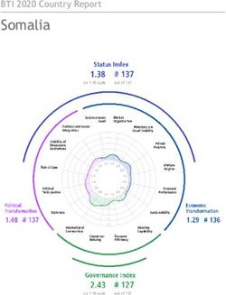 Somalia BTI 2020 Country Report - Bertelsmann Transformation Index