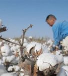 Chemical management at Tesco F&F clothing - our Detox progress - June 2018 - Tesco PLC