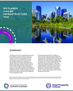 WETLANDS CAN BE INFRASTRUCTURE, TOO - Smart ...