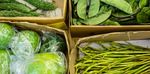 DIET and Parkinson's - Parkinson's UK