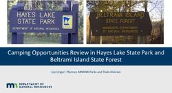 Camping Opportunities Review in Hayes Lake State Park and Beltrami Island State Forest - Joe Unger| Planner, MNDNR-Parks and Trails Division