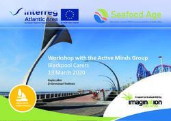 Workshop with the Active Minds Group Blackpool Carers 13 March 2020 - Hayley Alter Dr Emmanuel Tsekleves