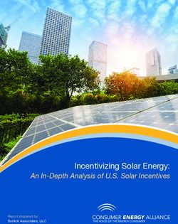 Incentivizing Solar Energy: An In-Depth Analysis of U.S. Solar Incentives Report prepared by: Borlick Associates, LLC - Consumer Energy Alliance