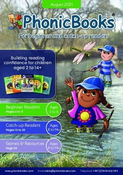 For beginner and catch-up readers - Phonic Books
