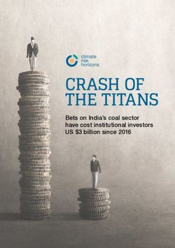 CRASH OF THE TITANS Bets on India's coal sector have cost institutional investors US $3 billion since 2016 - Climate Risk Horizons
