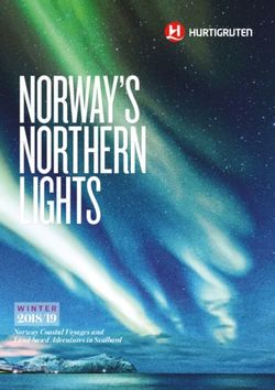 NORWAY'S NORTHERN LIGHTS - 2018/19 Norway Coastal Voyages and Land-based Adventures in Svalbard - AWS