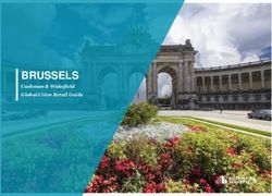 BRUSSELS Cushman & Wakefield Global Cities Retail Guide - Cushman & Wakefield