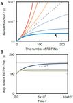 How sequence populations persist inside bacterial genomes