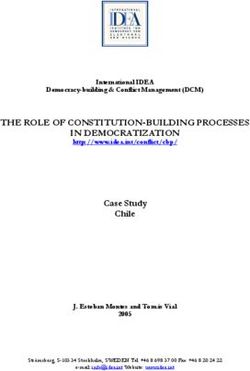 THE ROLE OF CONSTITUTION-BUILDING PROCESSES IN DEMOCRATIZATION