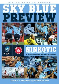 PREVIEW SKY BLUE - NINKOVIC