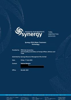 Synergy PFAS Water Treatment Technology