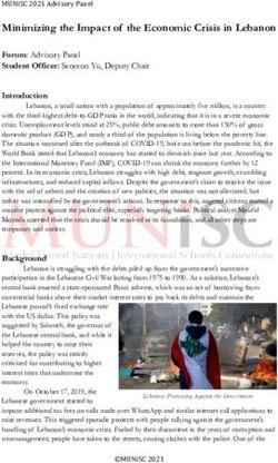 Minimizing the Impact of the Economic Crisis in Lebanon