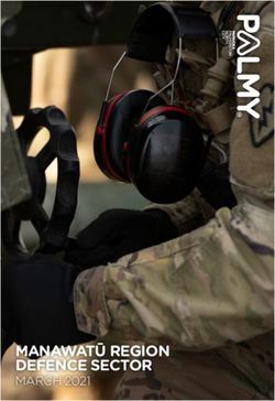MANAWATŪ REGION DEFENCE SECTOR - MARCH 2021 - Palmerston ...