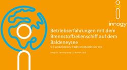 Betriebserfahrungen mit dem Brennstoffzellenschiff auf dem Baldeneysee - Fachkonferenz Elektromobilität vor Ort - NOW GmbH
