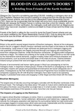 BLOOD ON GLASGOW'S DOORS ? - A Briefing from Friends of the Earth Scotland