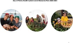 Bay of Plenty Health System Level Measures Plan 2020-2021