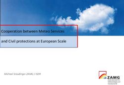 Cooperation between Meteo Services and Civil protections at European Scale - Michael Staudinger ZAMG / ISDR - UPC