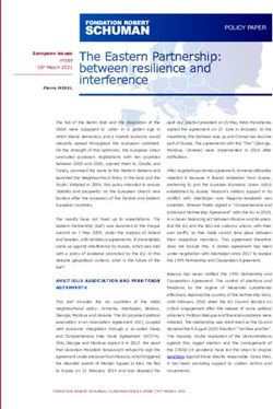 The Eastern Partnership: between resilience and interference