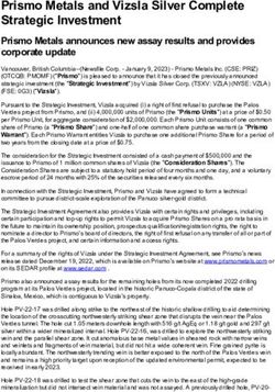 Prismo Metals and Vizsla Silver Complete Strategic Investment
