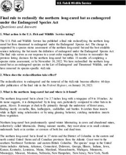 Final rule to reclassify the northern long-eared bat as endangered under the Endangered Species Act