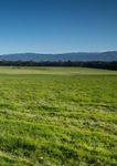 FOOD & FIBRE SKILLS ACTION PLAN 2019-2022 - MPI
