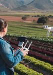 FOOD & FIBRE SKILLS ACTION PLAN 2019-2022 - MPI