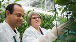 FOOD & FIBRE SKILLS ACTION PLAN 2019-2022 - MPI