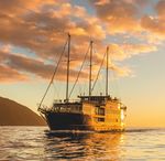 New Zealand 20 Day Rail, Cruise & Coach Holiday SPECIAL DEPARTURE 5 April 2020 - Cathie Rice Travel