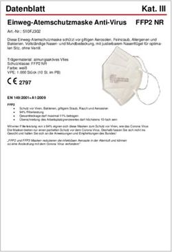 Einweg-Atemschutzmaske Anti-Virus FFP2 NR - Rudat Shop