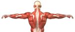 Little Time to Exercise? - Get the most from your workouts - Great River Health System