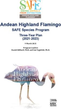 Andean Highland Flamingo - SAFE Species Program Three-Year Plan (2021-2023)