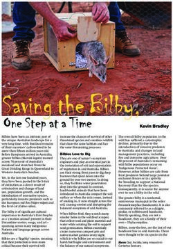 Saving the Bilby, One Step at a Time - Australian Wildlife Society