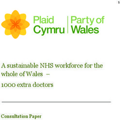 A sustainable NHS workforce for the whole of Wales - 1000 extra doctors - Consultation Paper