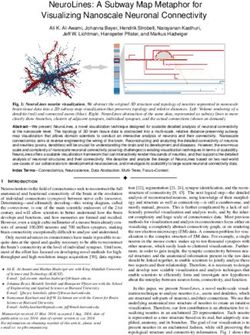 NeuroLines: A Subway Map Metaphor for Visualizing Nanoscale Neuronal Connectivity