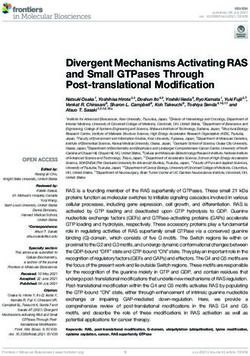 Divergent Mechanisms Activating RAS and Small GTPases Through Post-translational Modification