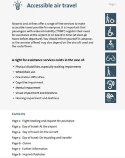 Accessible air travel - Bundesverband der Deutschen ...