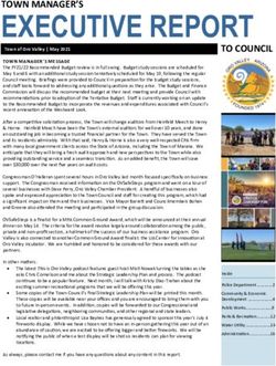 EXECUTIVE REPORT TOWN MANAGER'S - Town of Oro Valley